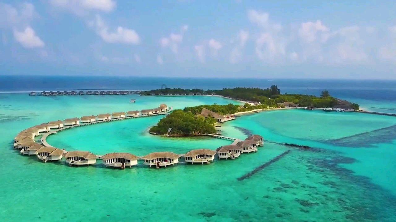 大卫带以色列人多次战胜敌人，几个世纪后，以色列人为何惨败？